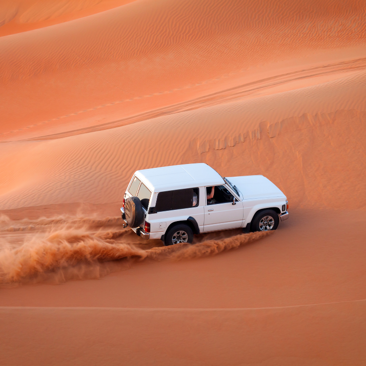 Desert Safari